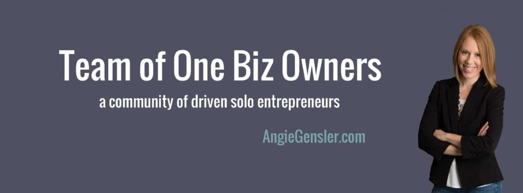 Team of One Biz Owners