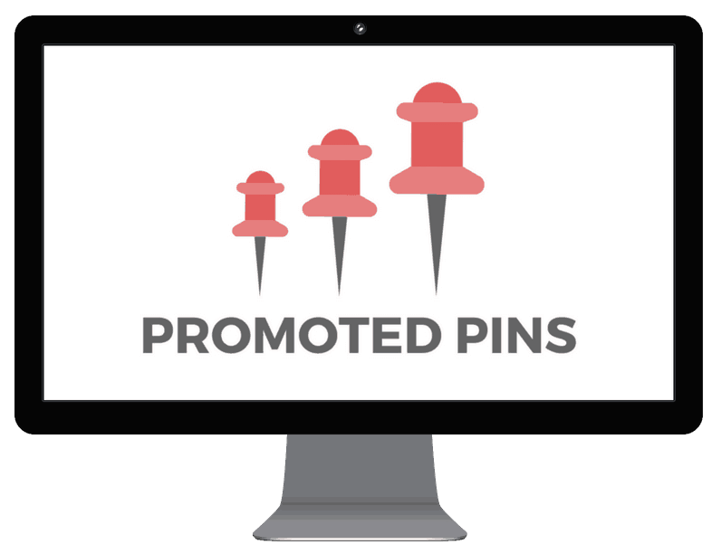 Pinterest Promoted Pins Screen