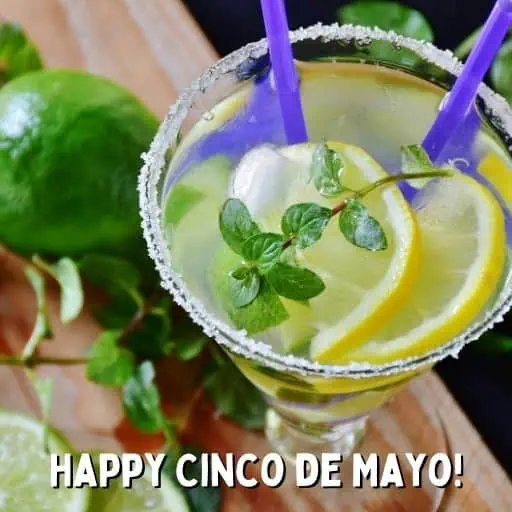 happy cinco de mayo