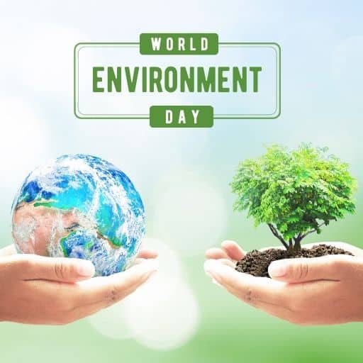 world environment day