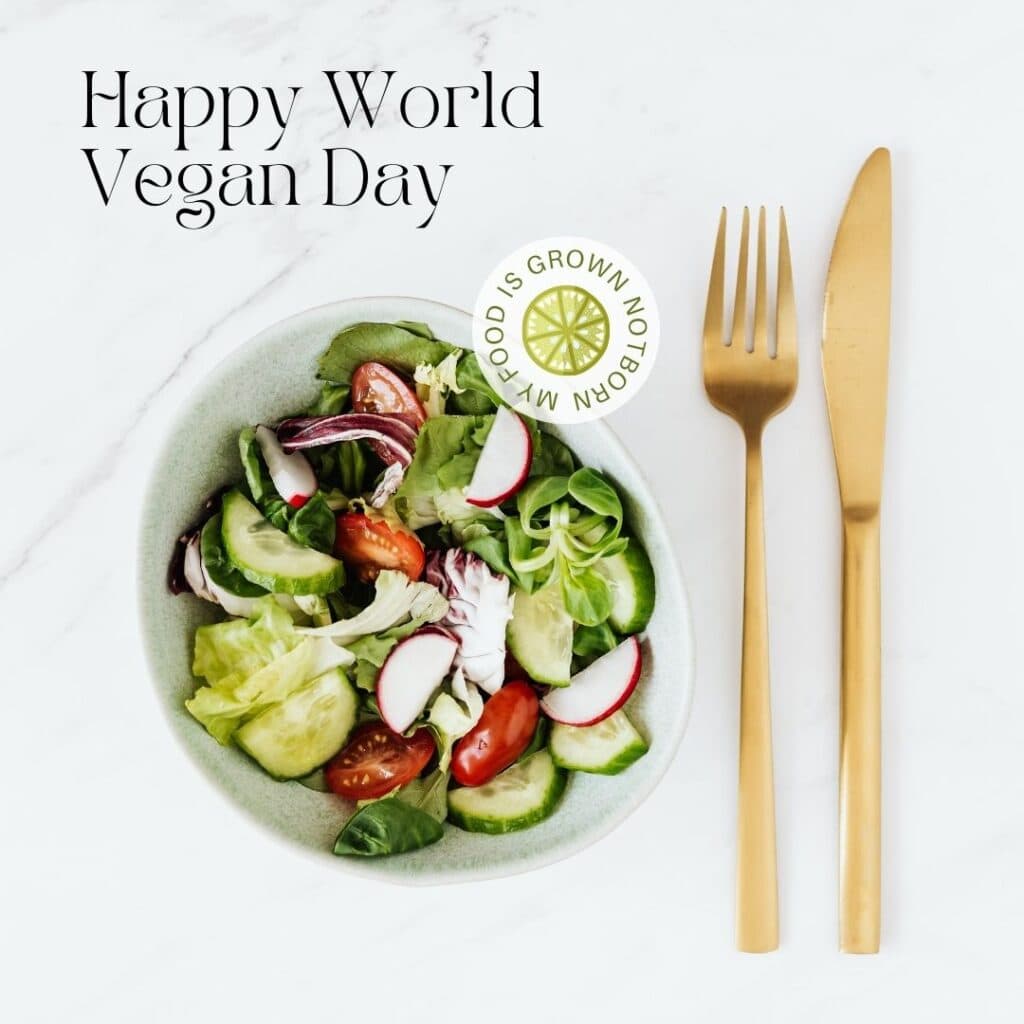 happy world vegan day