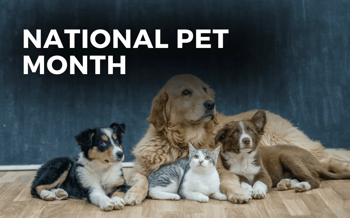 national pet month