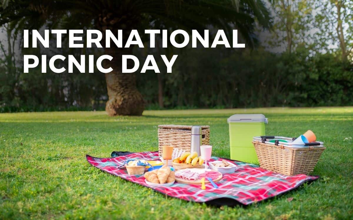 international picnic day