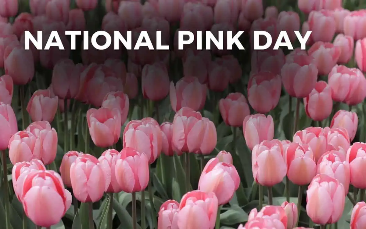 national pink day