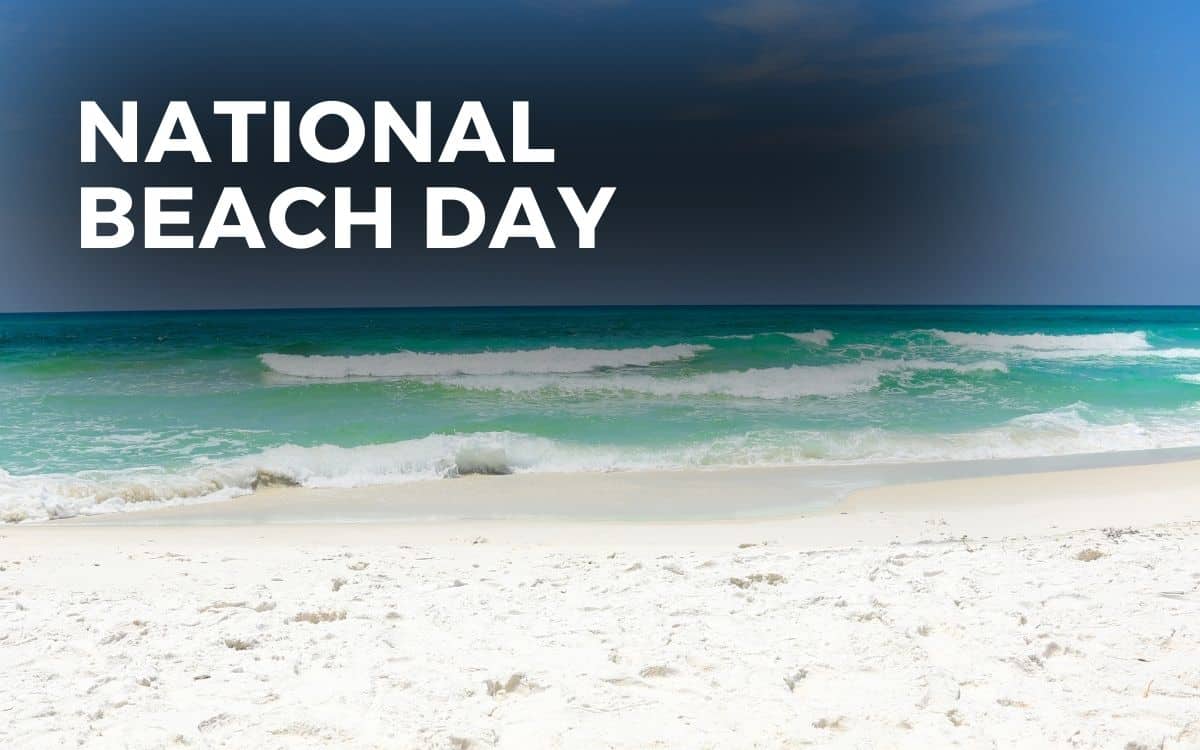 national beach day