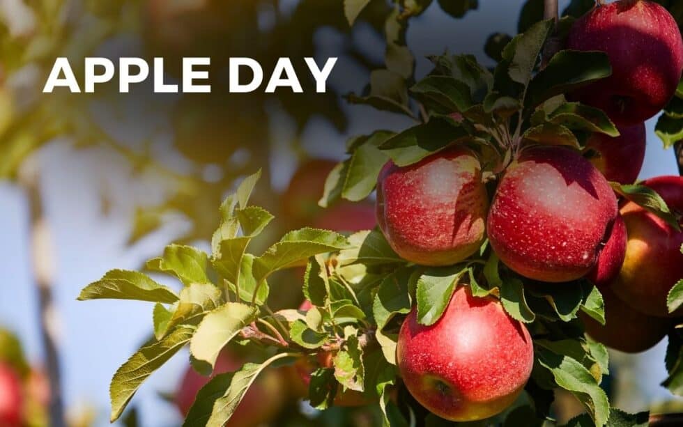 APPLE DAY - October 21, 2024 - Angie Gensler