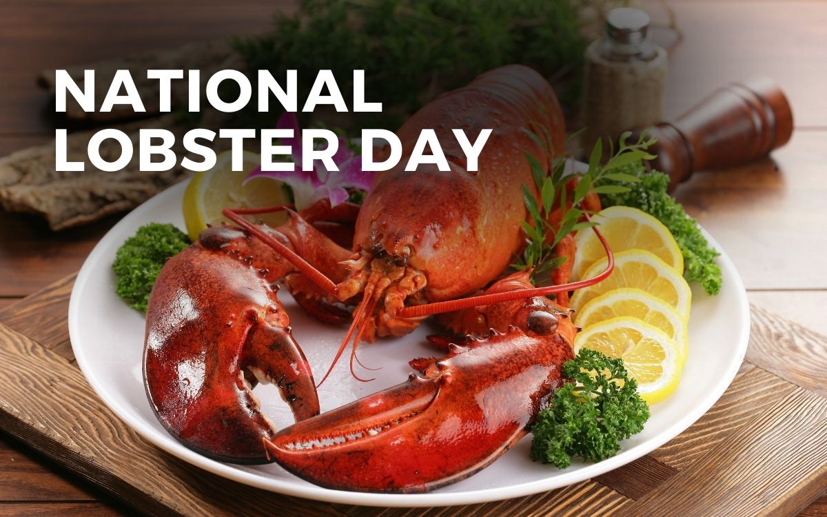 When Is National Lobster Day 2024 In India Lonna Ramonda