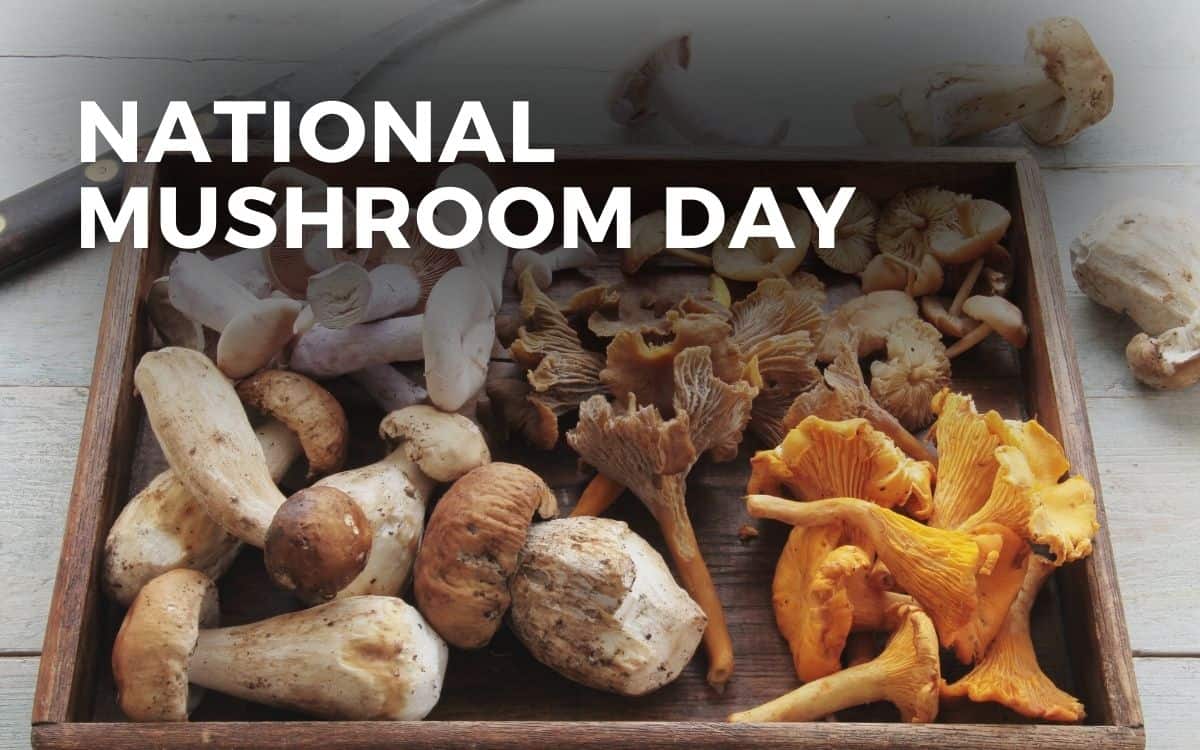 NATIONAL MUSHROOM DAY October 15, 2024 Angie Gensler