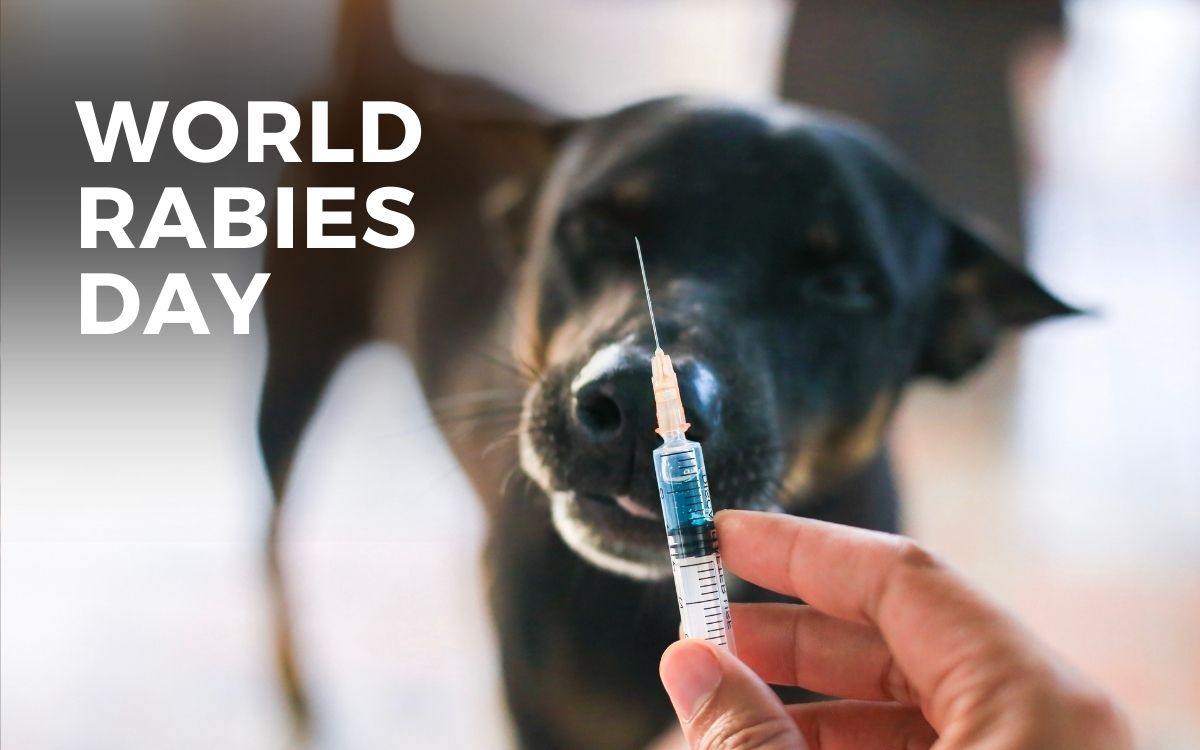 Resources  Global Alliance for Rabies Control