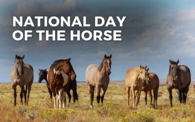 NATIONAL DAY OF THE HORSE – December 13, 2023