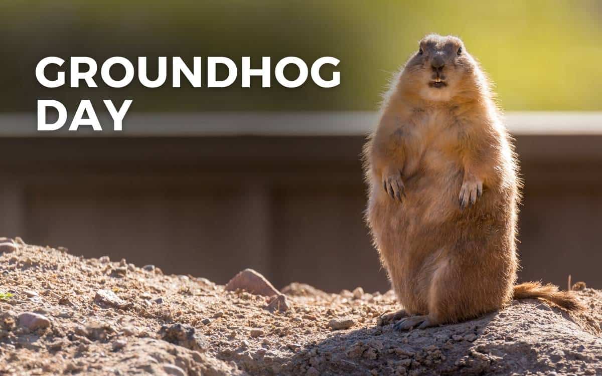 Darrin Garcia Berita Groundhog Day 2024 Theme