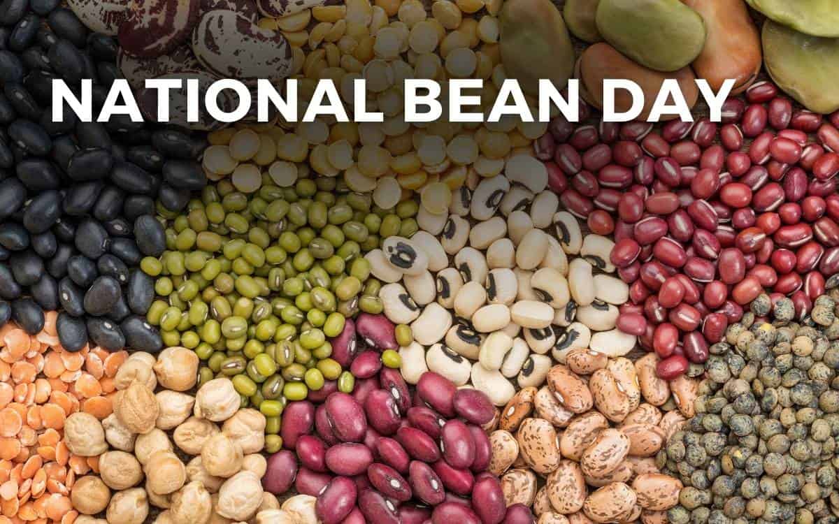NATIONAL BEAN DAY January 6, 2024 Angie Gensler