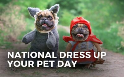 NATIONAL DRESS UP YOUR PET DAY – January 14, 2024
