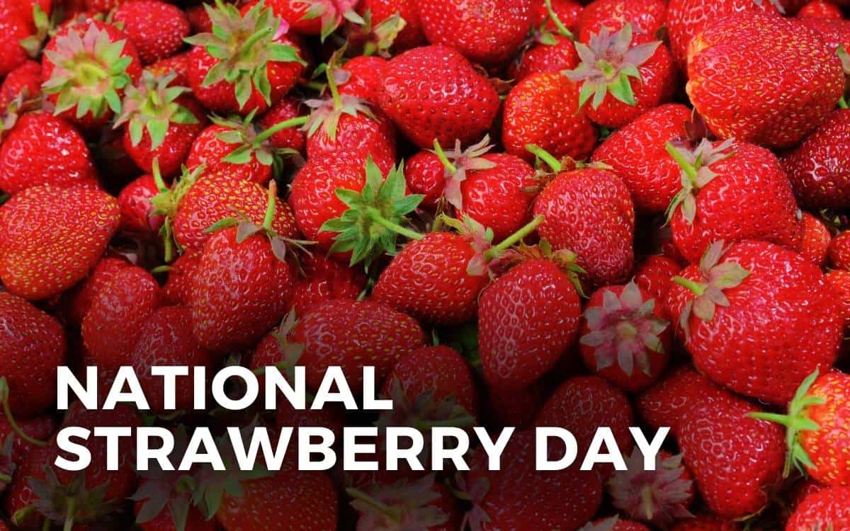 national strawberry day