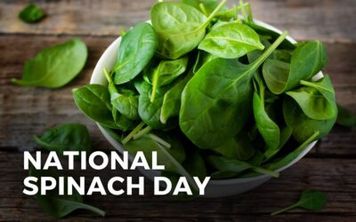 NATIONAL SPINACH DAY – March 26, 2024