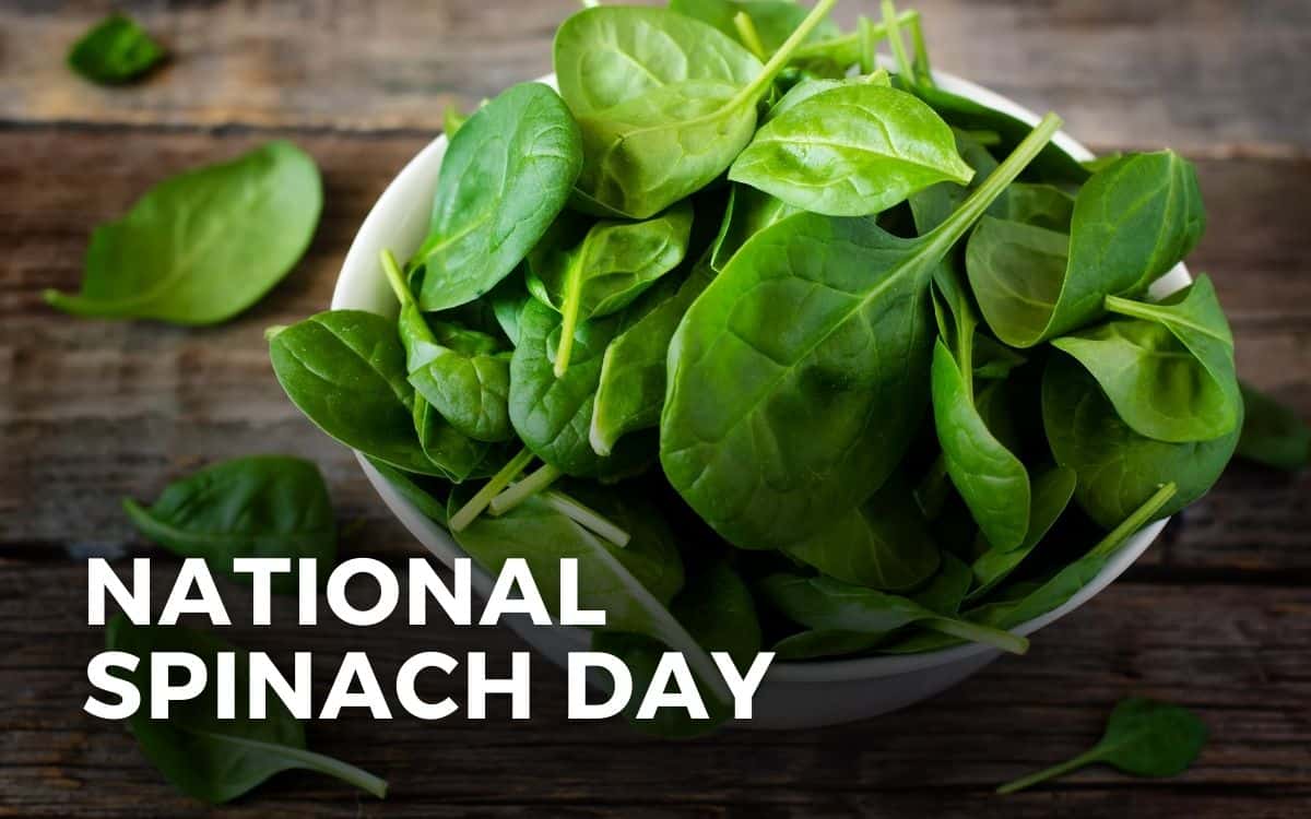 national spinach day