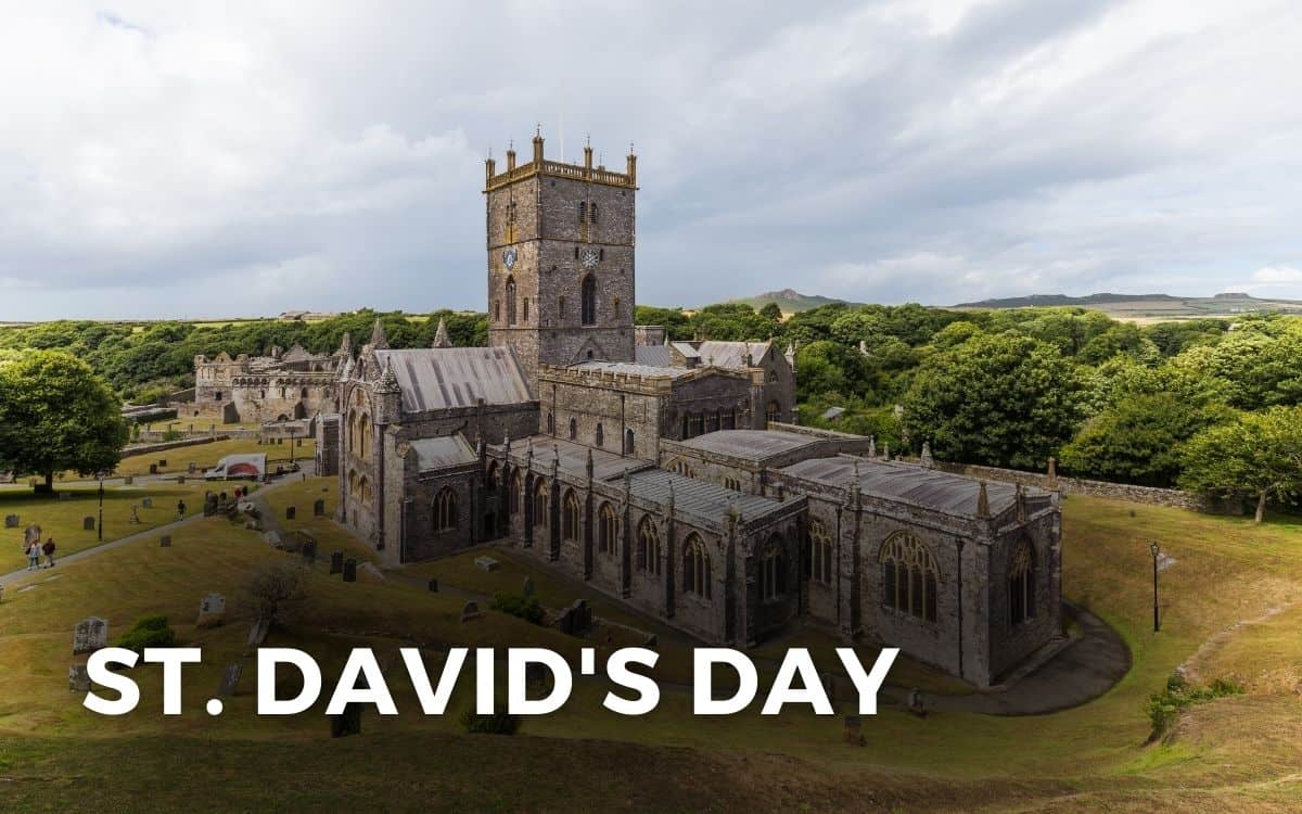 st. david's day