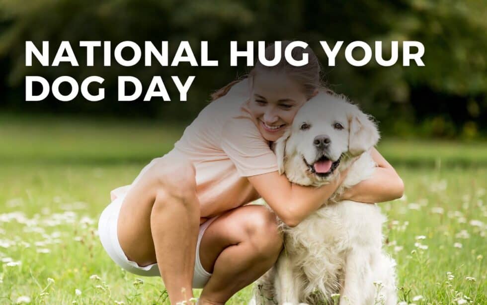 National Hug Your Dog Day 2024 Images Herta Mandie