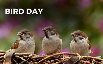 BIRD DAY – May 4, 2024
