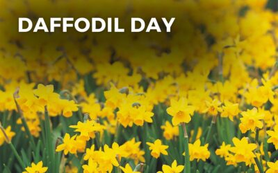 DAFFODIL DAY – August 22, 2024