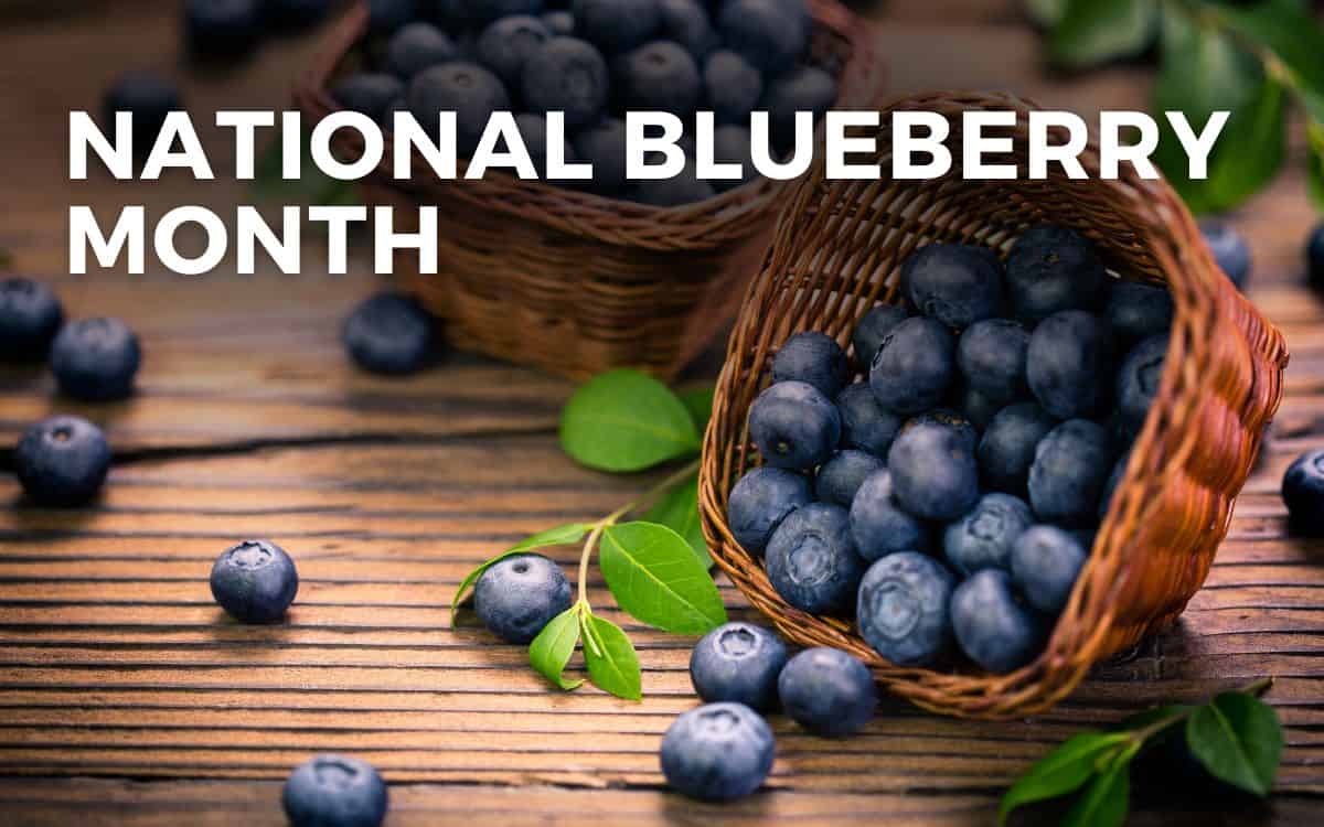 NATIONAL BLUEBERRY MONTH - July 2024 - Angie Gensler