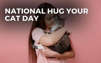 NATIONAL HUG YOUR CAT DAY – June 4, 2024