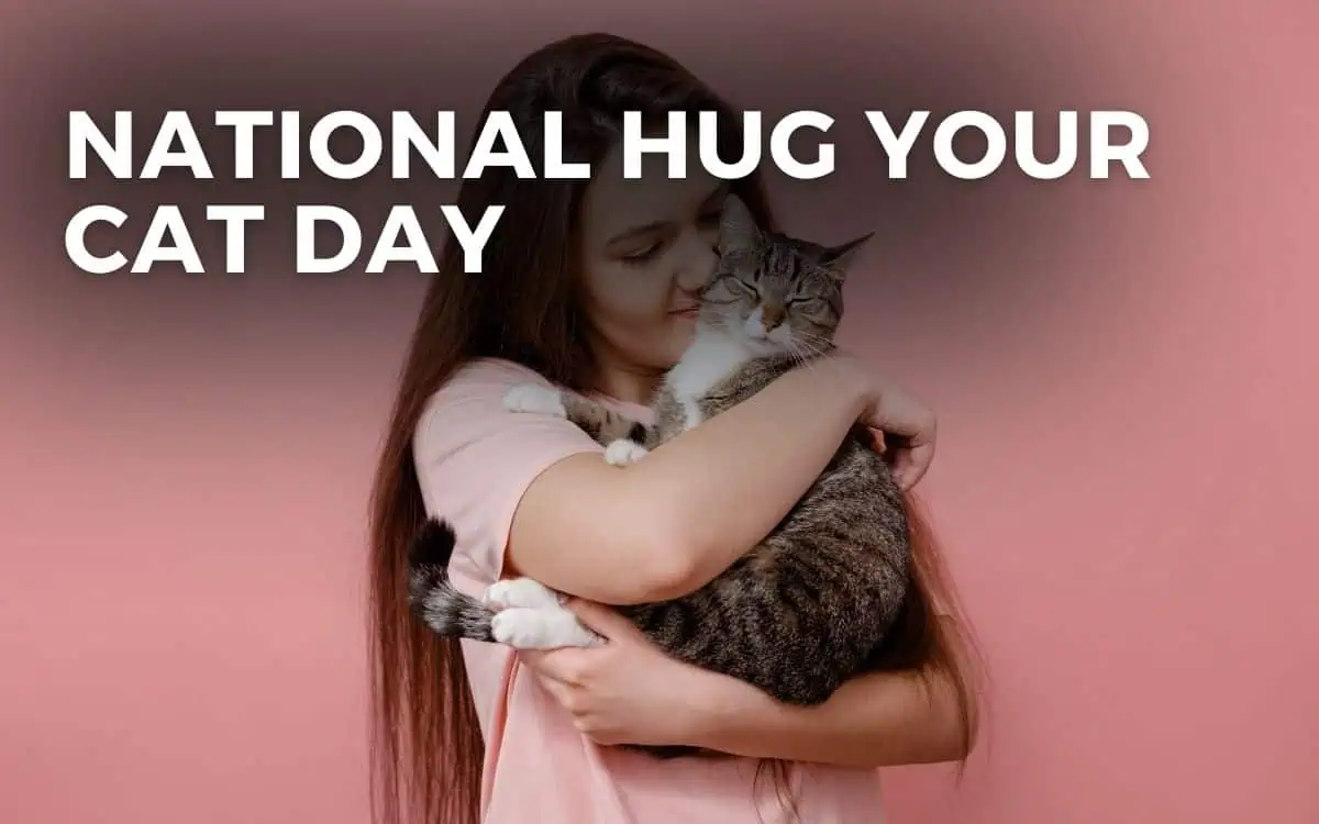 National Hug Your Cat Day Hug Your Cat Day Cat Day