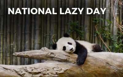 NATIONAL LAZY DAY – August 10, 2024