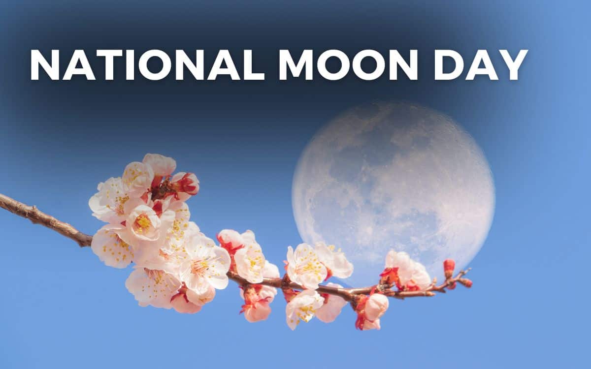 NATIONAL MOON DAY - July 20, 2024 - Angie Gensler