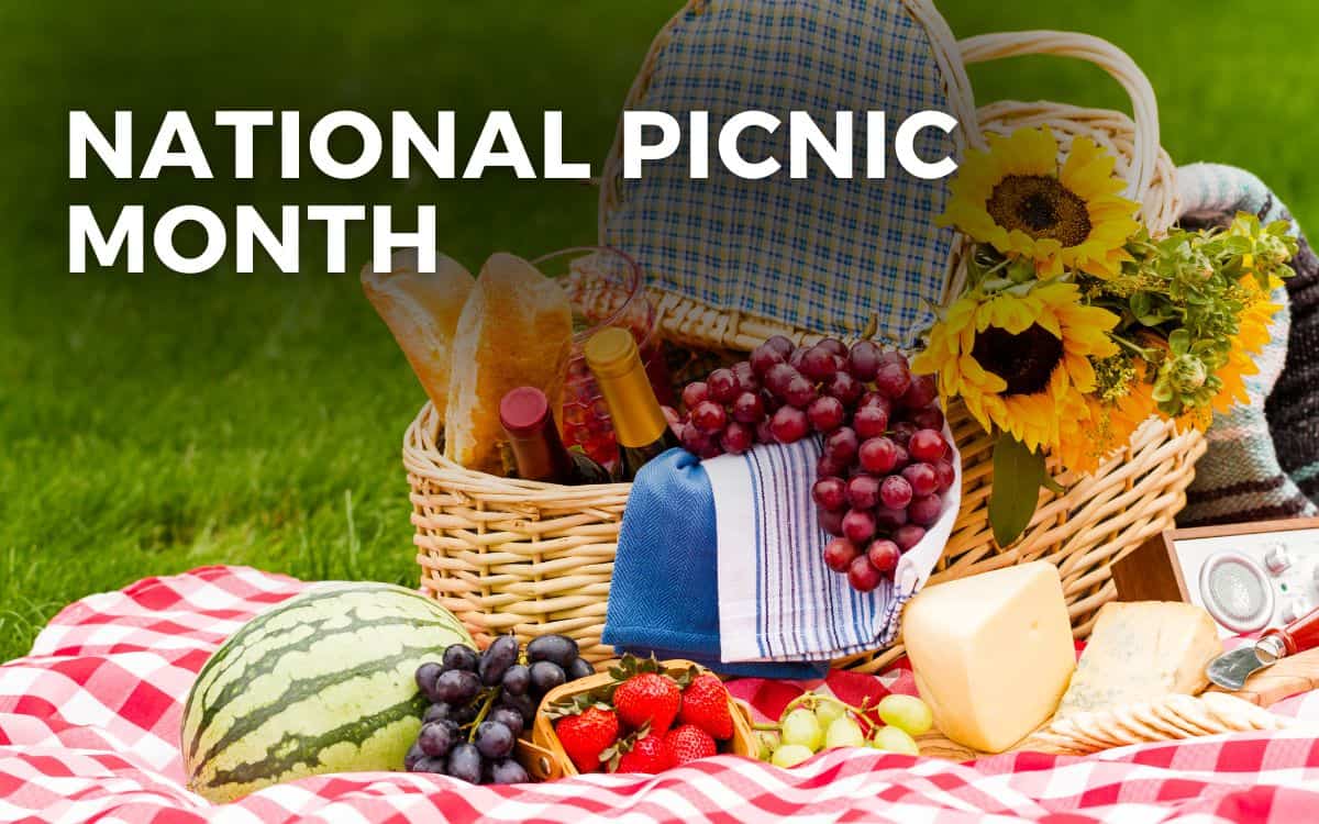 NATIONAL PICNIC MONTH - July 2024 - Angie Gensler