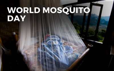 WORLD MOSQUITO DAY – August 20, 2024