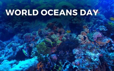 WORLD OCEANS DAY – June 8, 2024