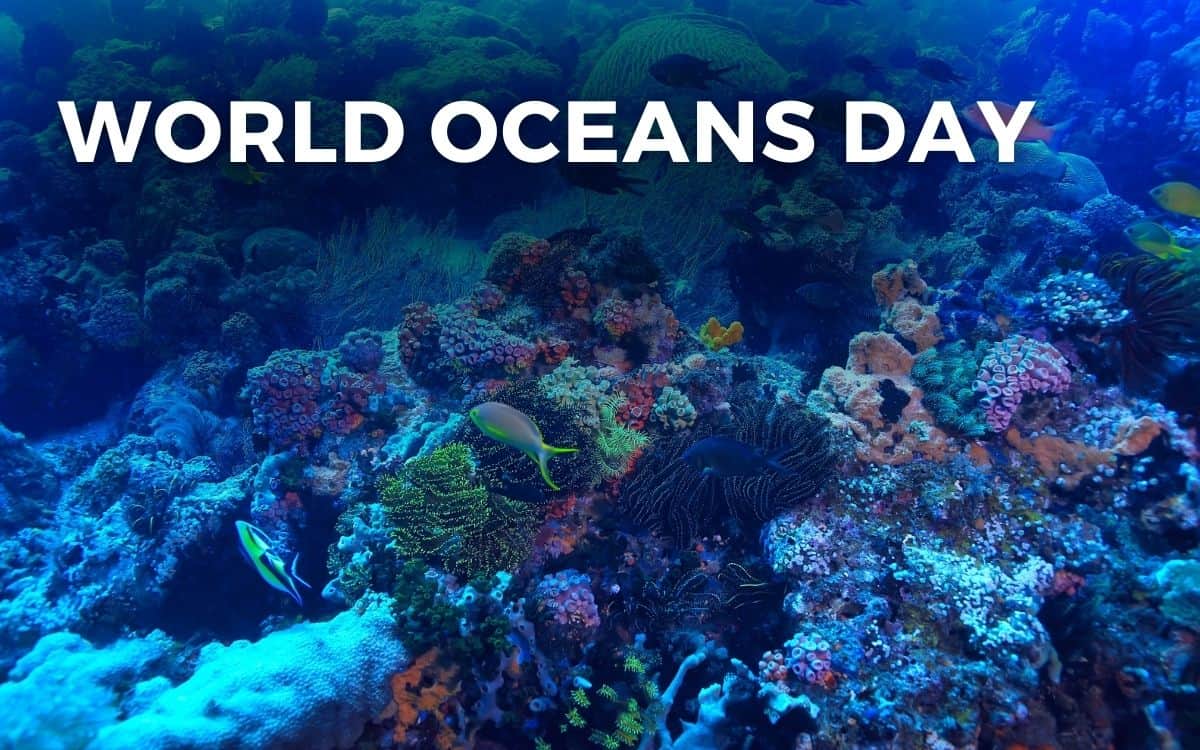 WORLD OCEANS DAY - June 8, 2024 - Angie Gensler