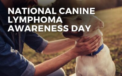 NATIONAL CANINE LYMPHOMA AWARENESS DAY – November 7, 2024