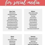 january hashtags infographic