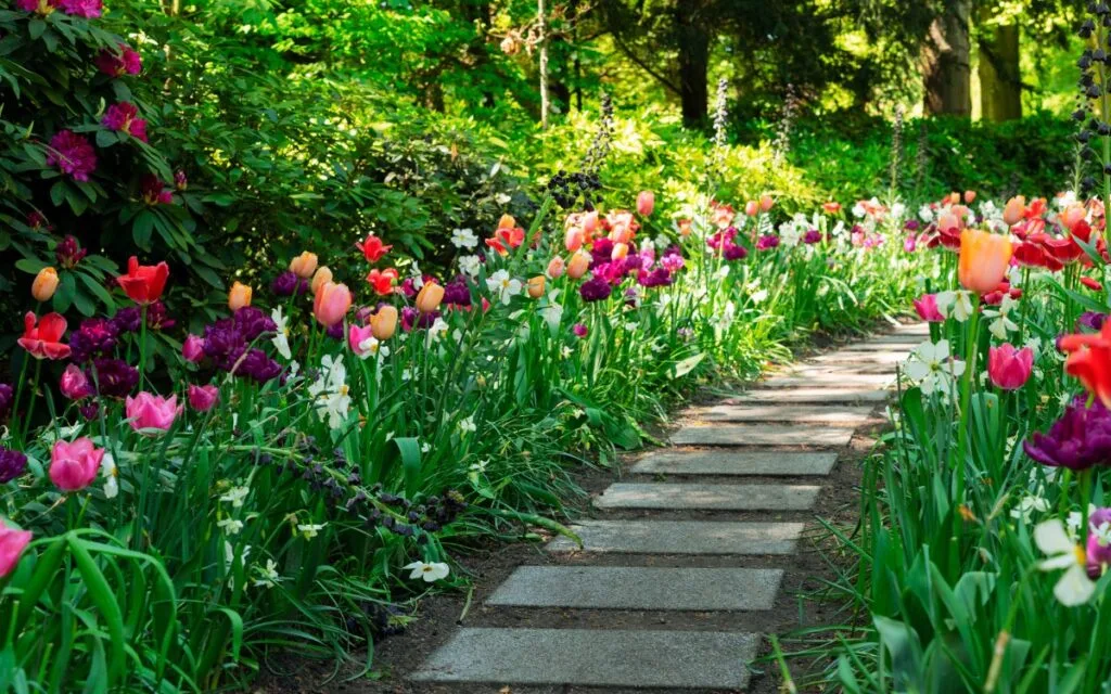 march questions spring